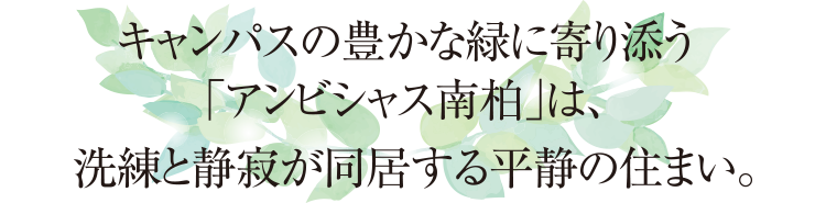 キャンパスの豊かな緑に寄り添う「アンビシャス南柏」は、洗練と静寂が同居する平静の住まい。