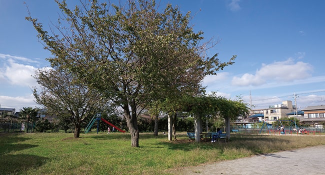 向小金ふれあい公園(徒歩6分/約480m)