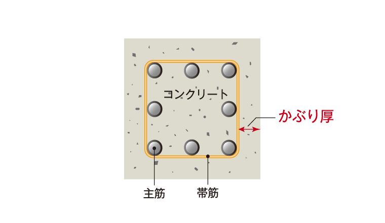 かぶり厚