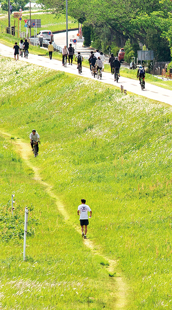 多摩川サイクリングロード