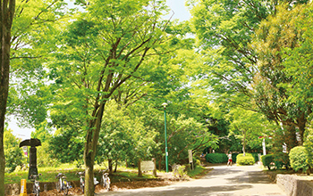 押立公園