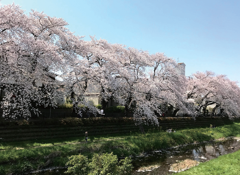 野川公園