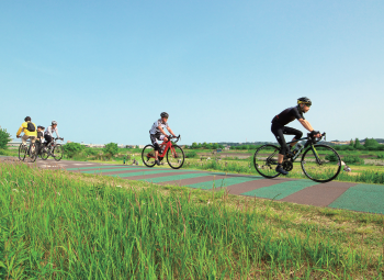 多摩川サイクリングロード