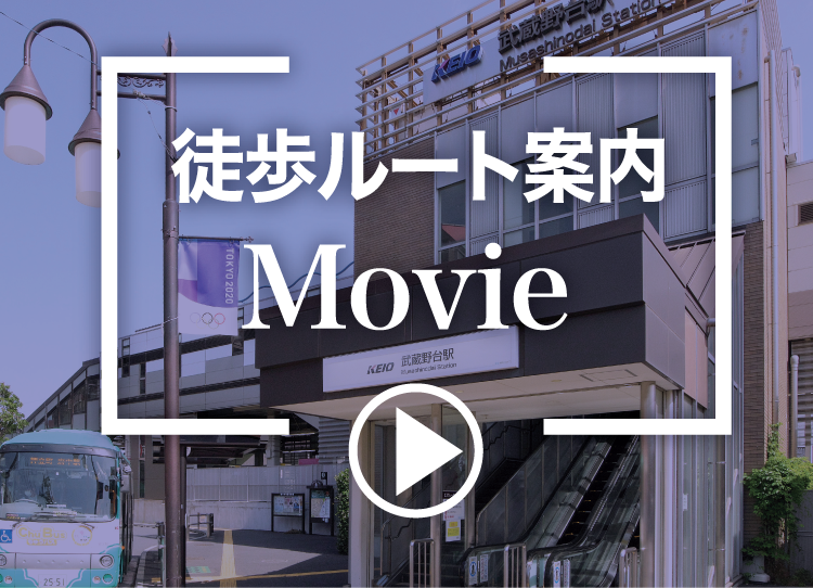 徒歩ルート案内Movie