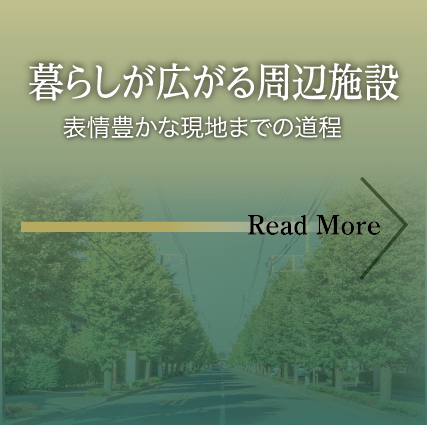 「白糸台通り」のイチョウ並木を通る 現地までの道のりをご紹介いたします。