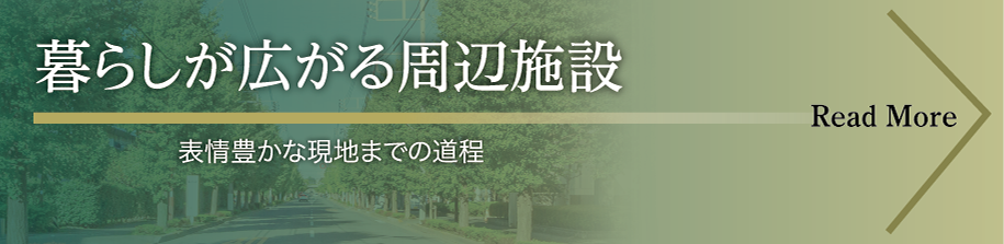 「白糸台通り」のイチョウ並木を通る 現地までの道のりをご紹介いたします。